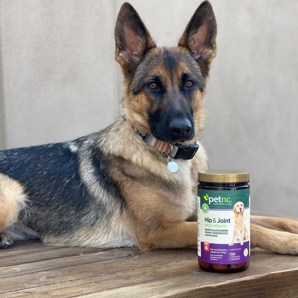 PetNC chews served with meals to minimize GI upset.