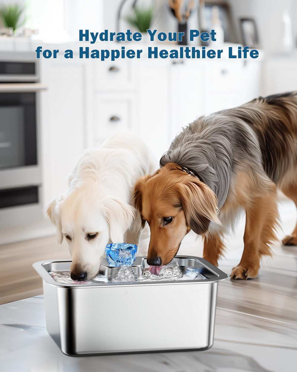 Two-month set helps sustain clean water for larger pets