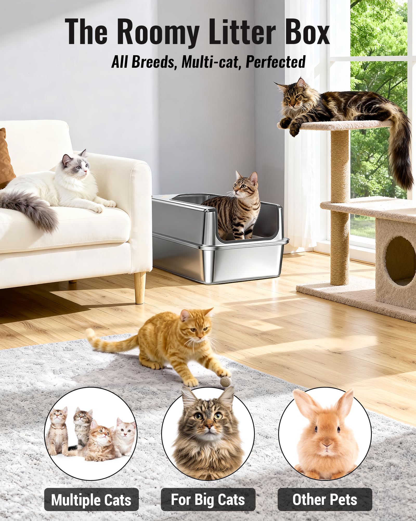 Durable PETNF stainless steel build resists scratches and rust over time.