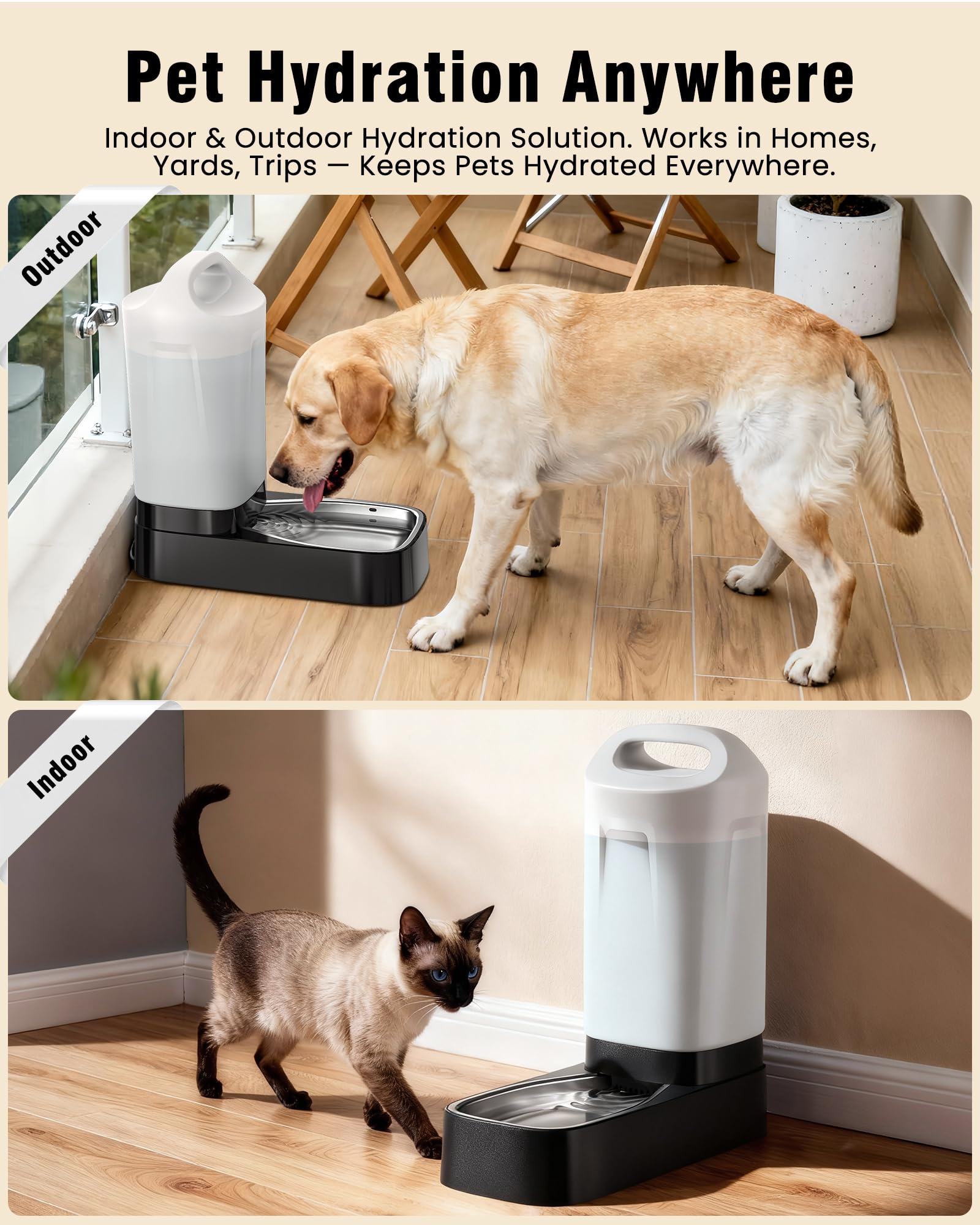 PETNF anti-splash bowl design minimizes mess during active pets.