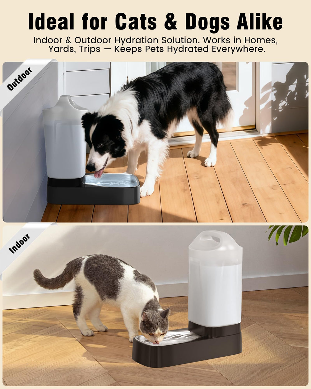 Ergonomic handle on PETNF dispenser for easy carrying