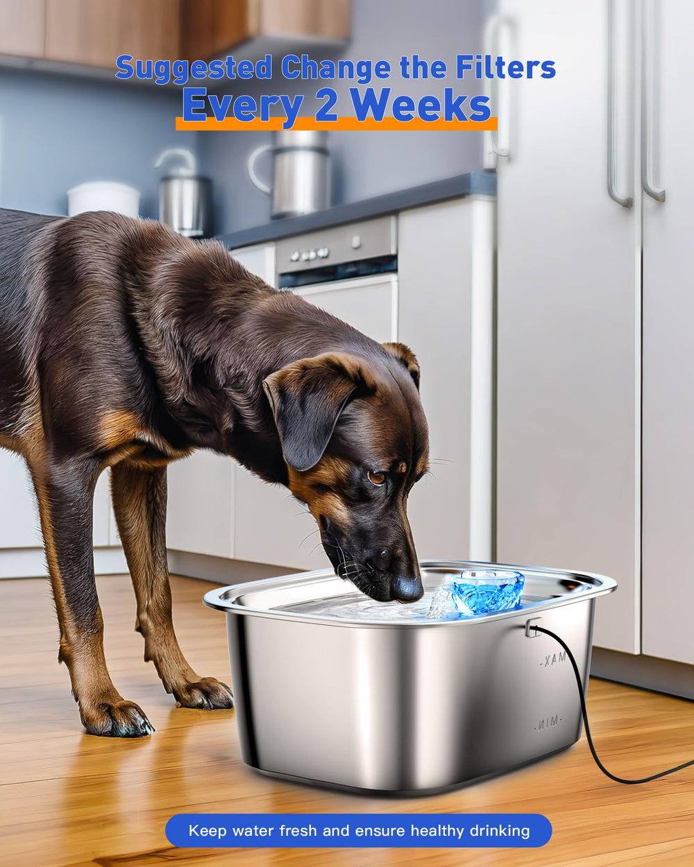 Soak and rinse before use to activate media for best performance.