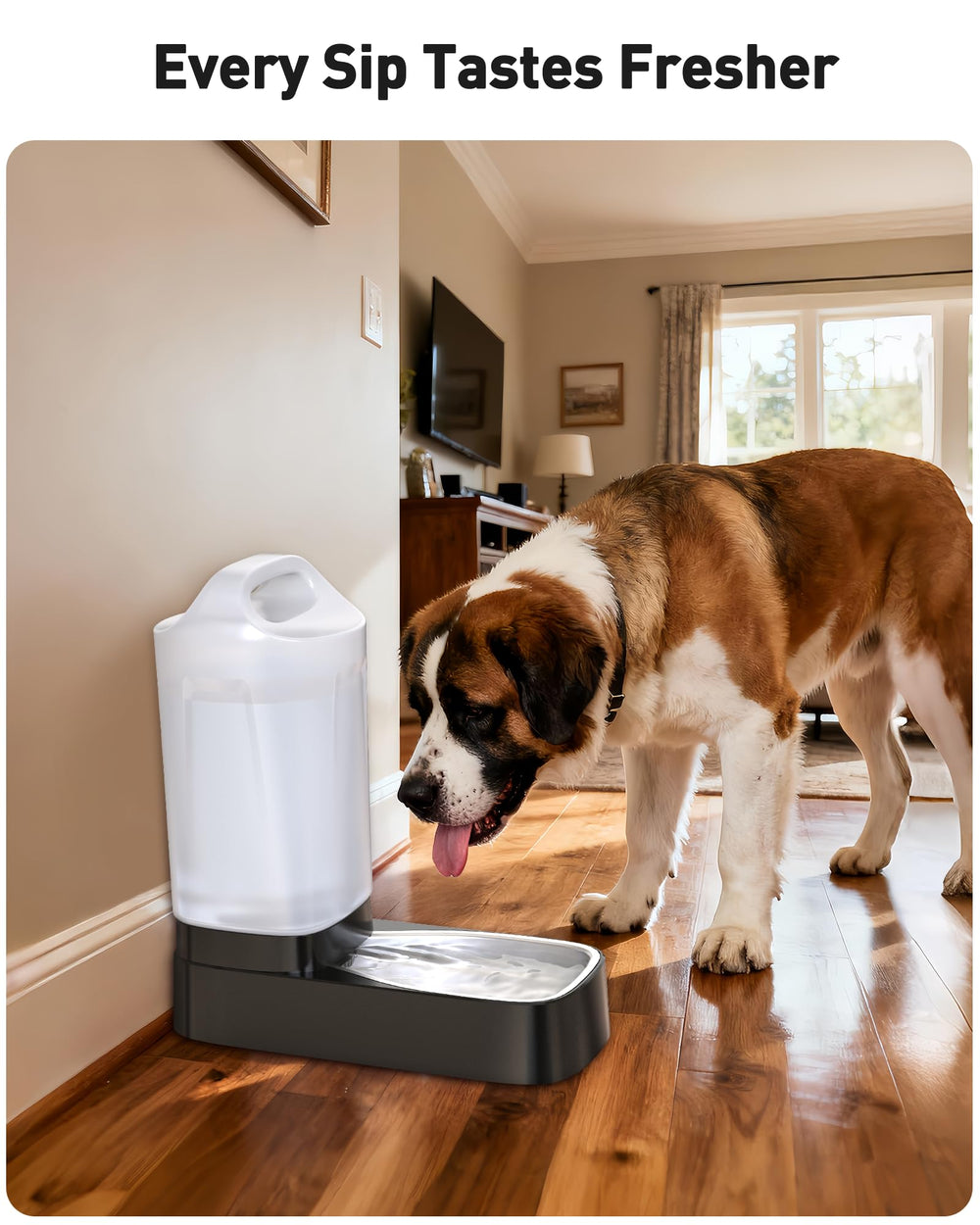 PETNF four-pack filter set supports multi-pet households with ongoing freshness.