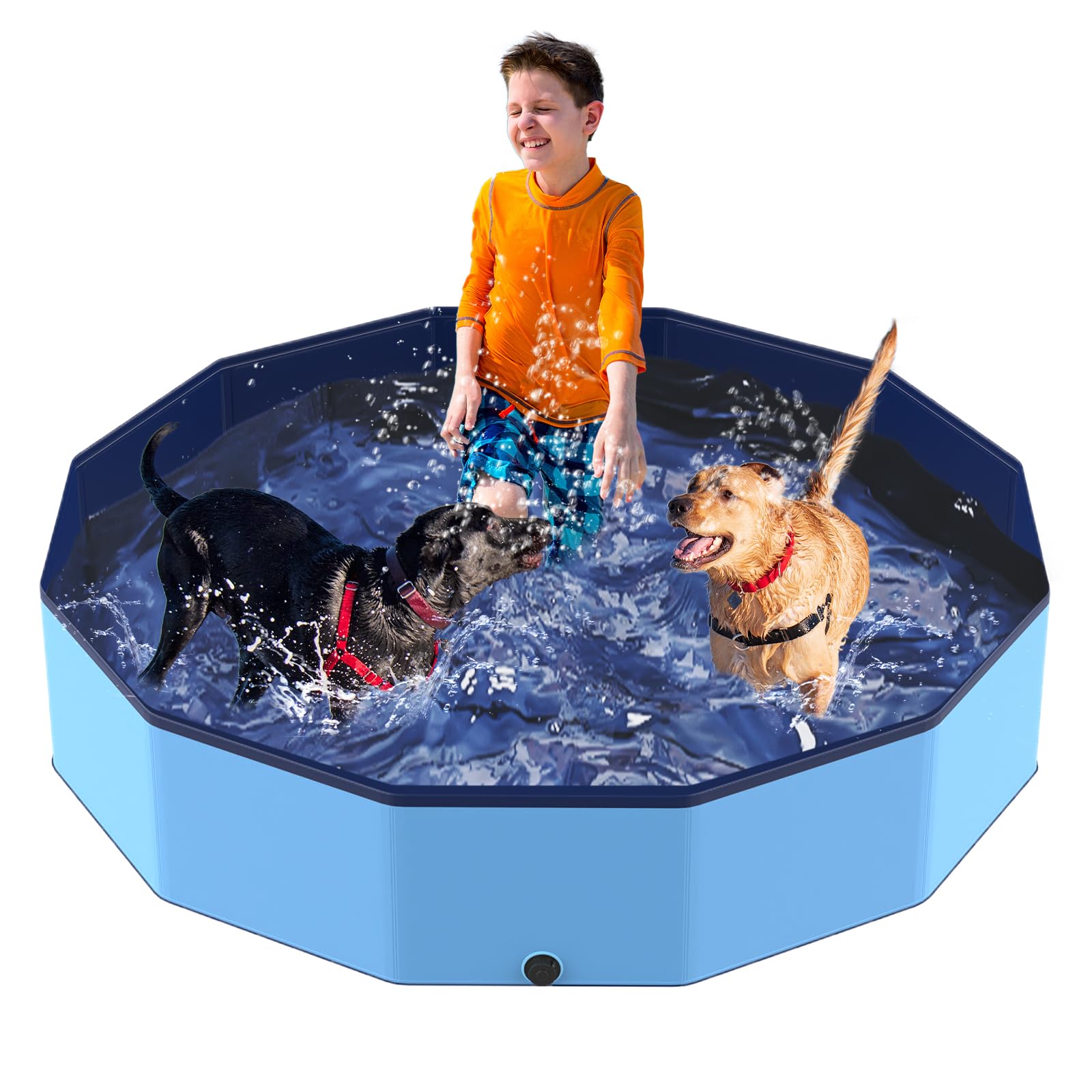 PETOCAT foldable pool 57-inch full view for dogs and kids, spacious and versatile