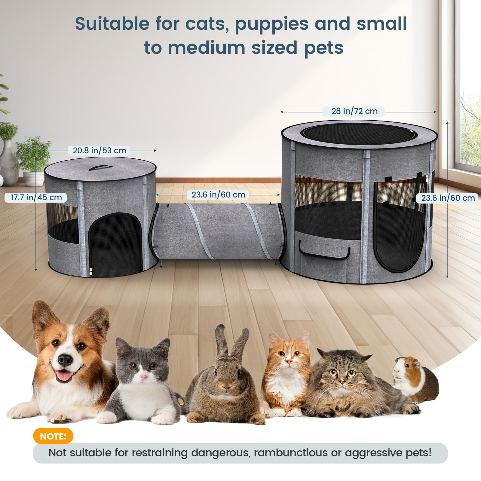 PETOCAT skylight and side pockets add light and convenient storage.