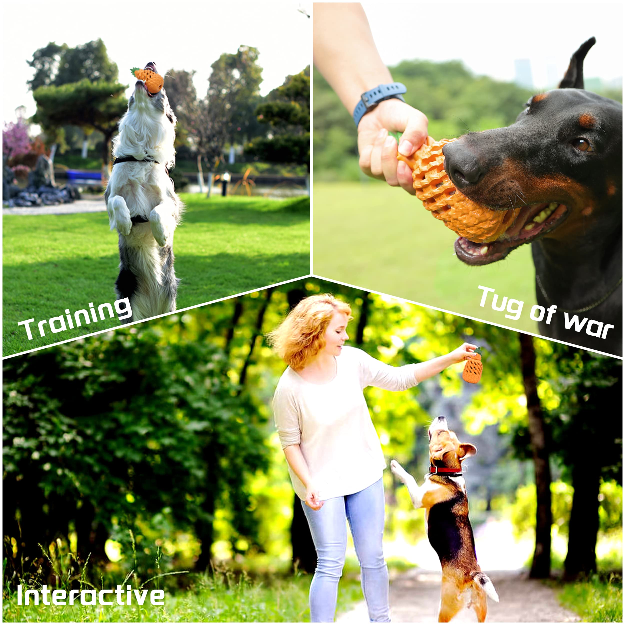 PETOPIA 101-days replacement guarantee highlighted with this toy.