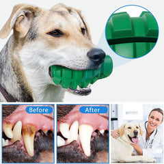 PETOPIA versatile-size dog toy fits puppies to adults.