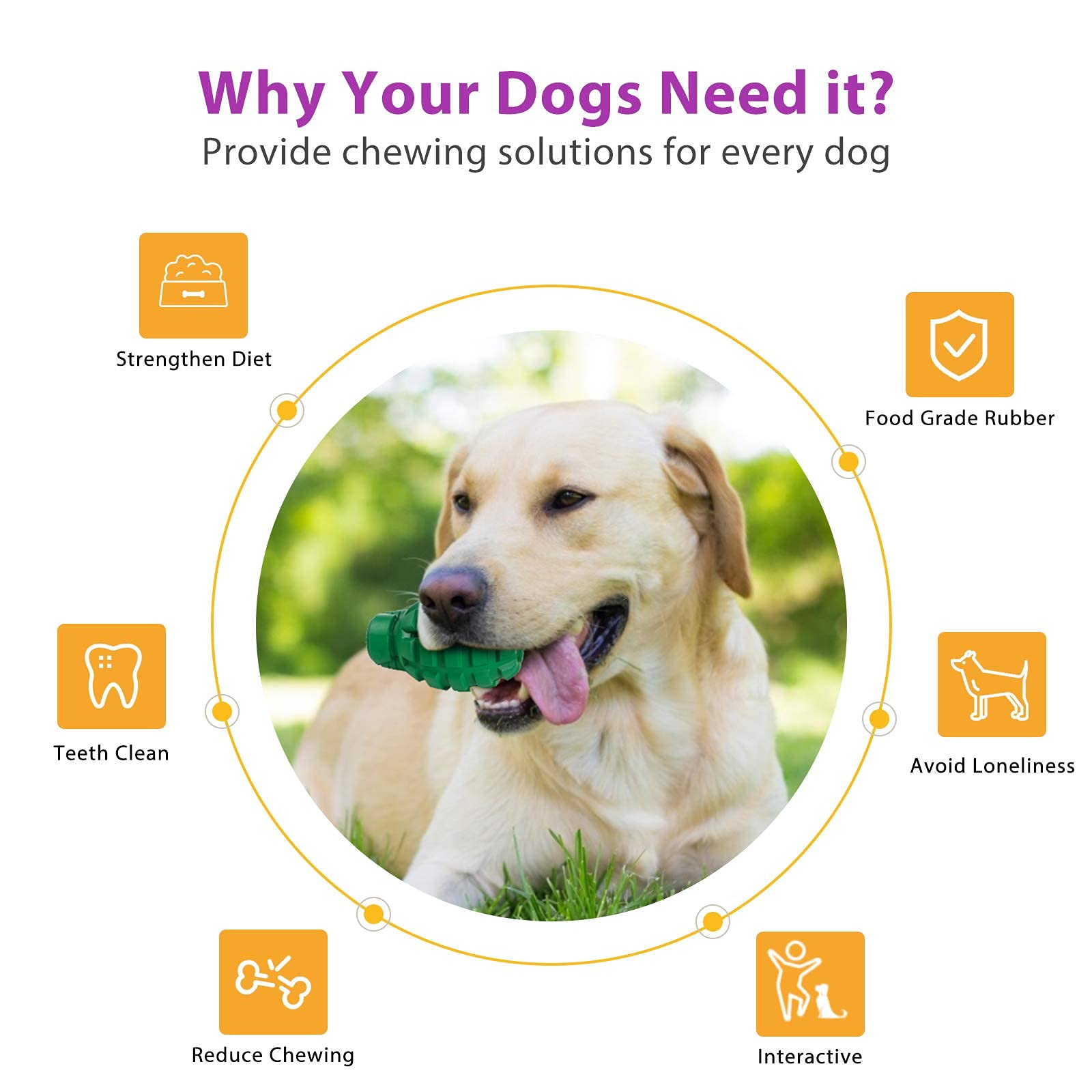 PETOPIA non-toxic dog toy material for safe, long-lasting play.