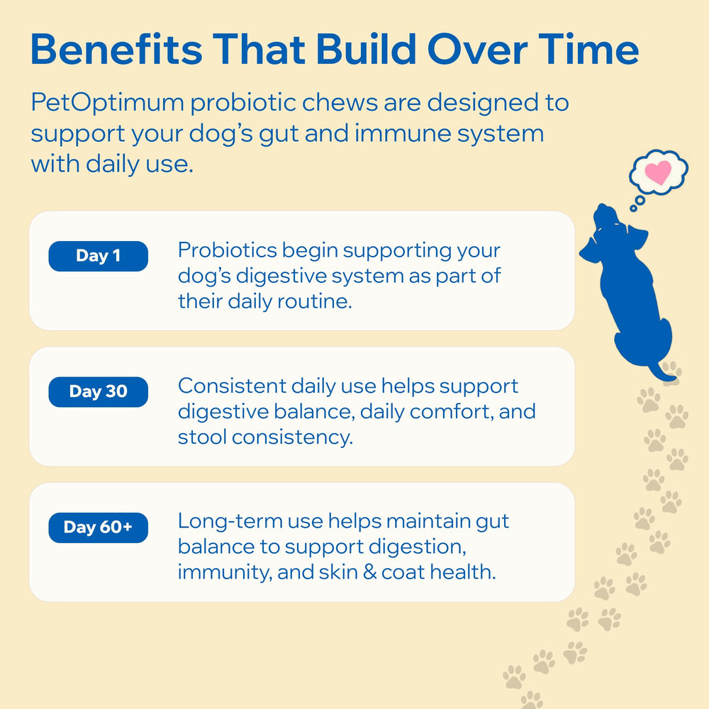 PETOPTIMUM daily immune support through balanced gut flora.