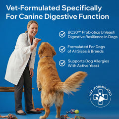 PETOPTIMUM digestive enzymes in chews aid nutrient absorption.