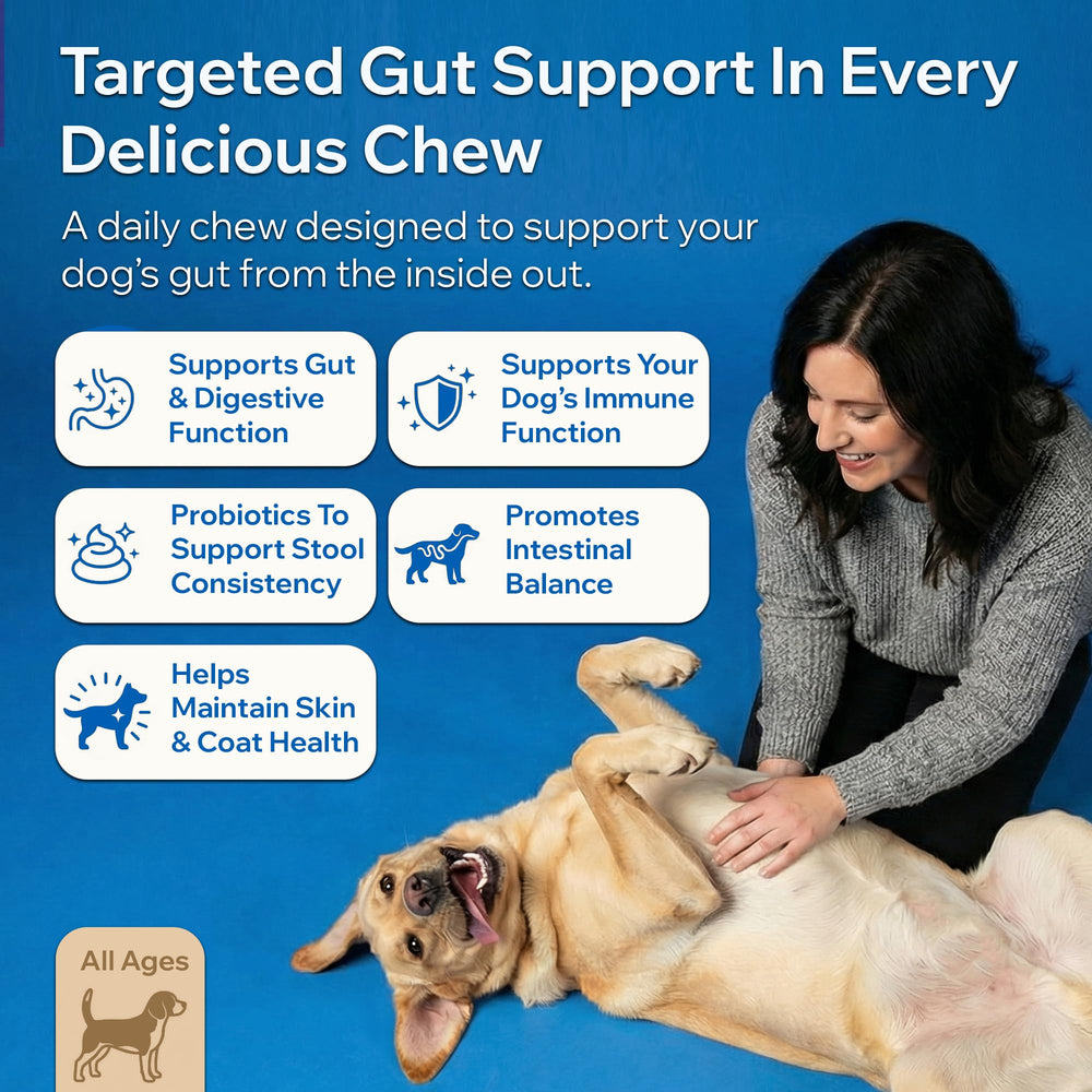PETOPTIMUM duck-flavored probiotic chews support tasty gut health.