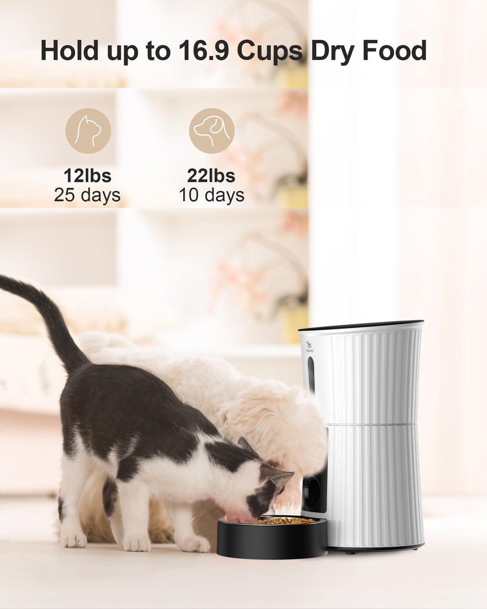 Petory backup battery and power supply ensure feeding continues during outages.