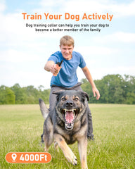 Petory dog collar with four modes for versatile training cues