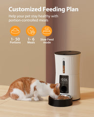 Petory Timed Feeder digital timer shows programmable scheduling.