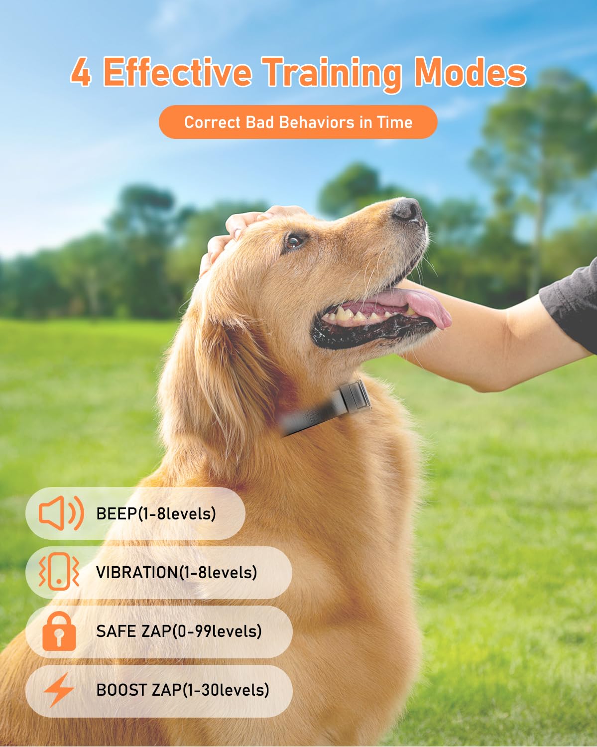 Petory waterproof dog collar IPX7 for all-weather training