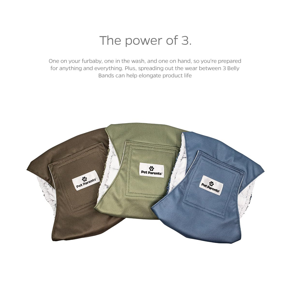 Absorbent inner pad supports larger dogs during longer outings.