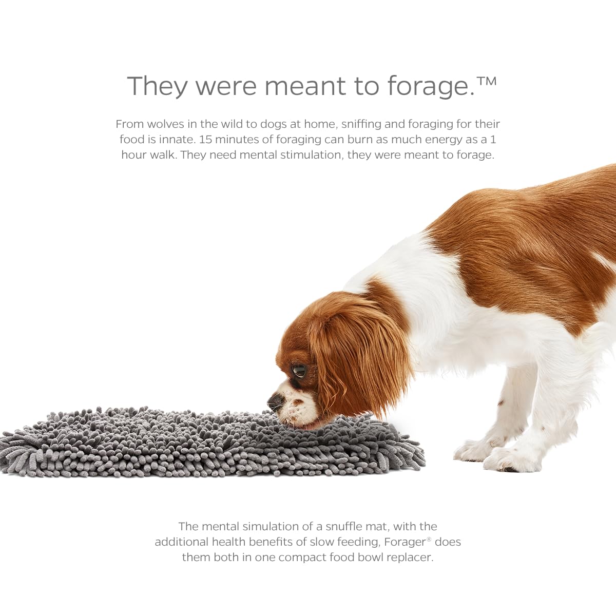 Pet Parents Forager Mat Forest 19 suited for dogs of all sizes