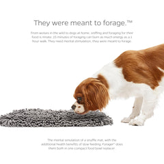 Pet Parents Forager Mat Forest 19 suited for dogs of all sizes