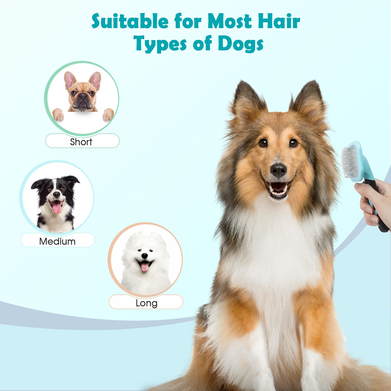 PetPawJOY Slicker Brush cat massage and grooming benefits