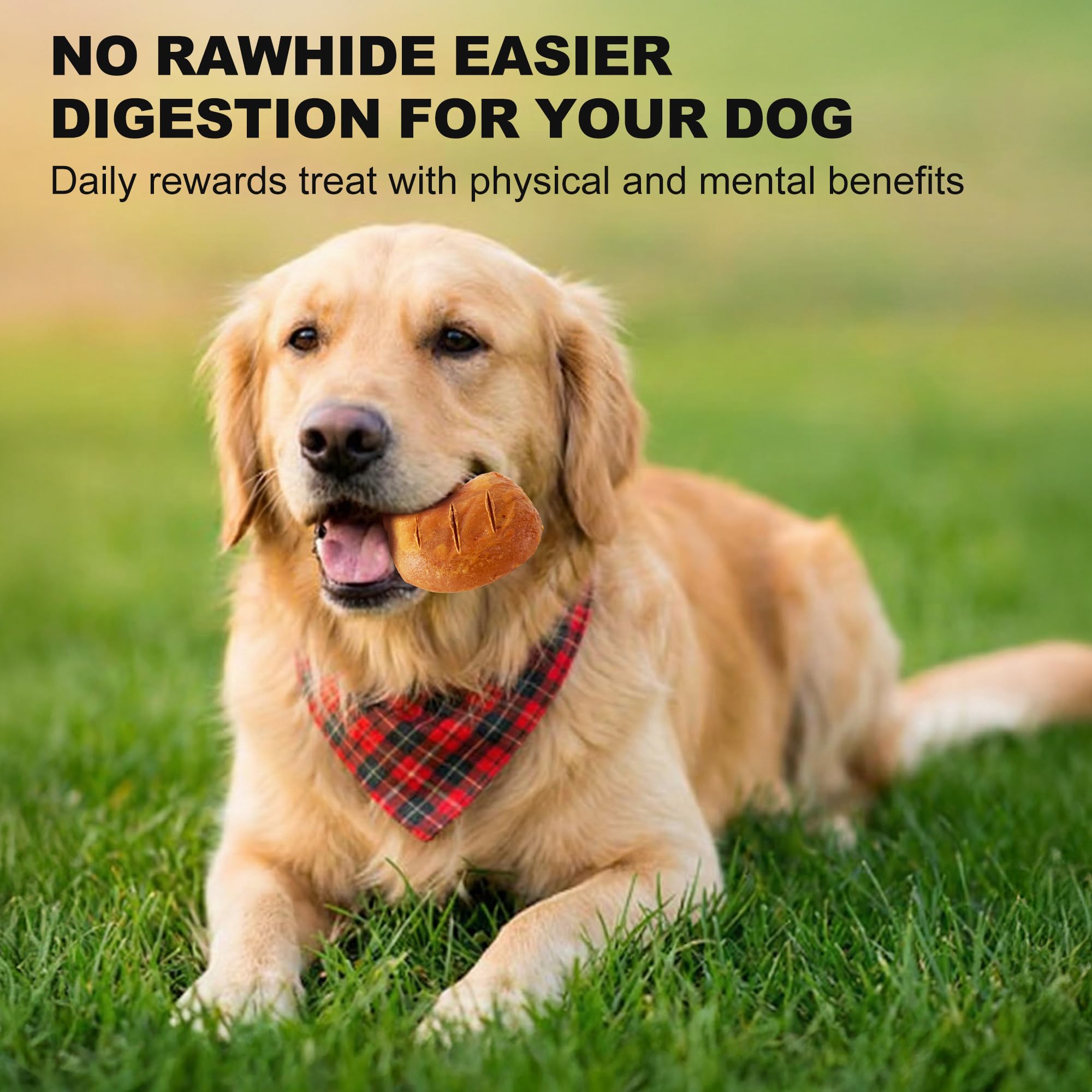 PETPHABET 100% digestible chews easy on sensitive tummies.