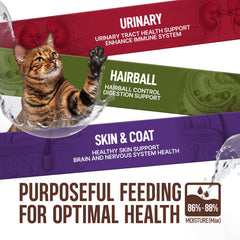 PETPHABET creamy paste closeup highlights smooth texture for licking.