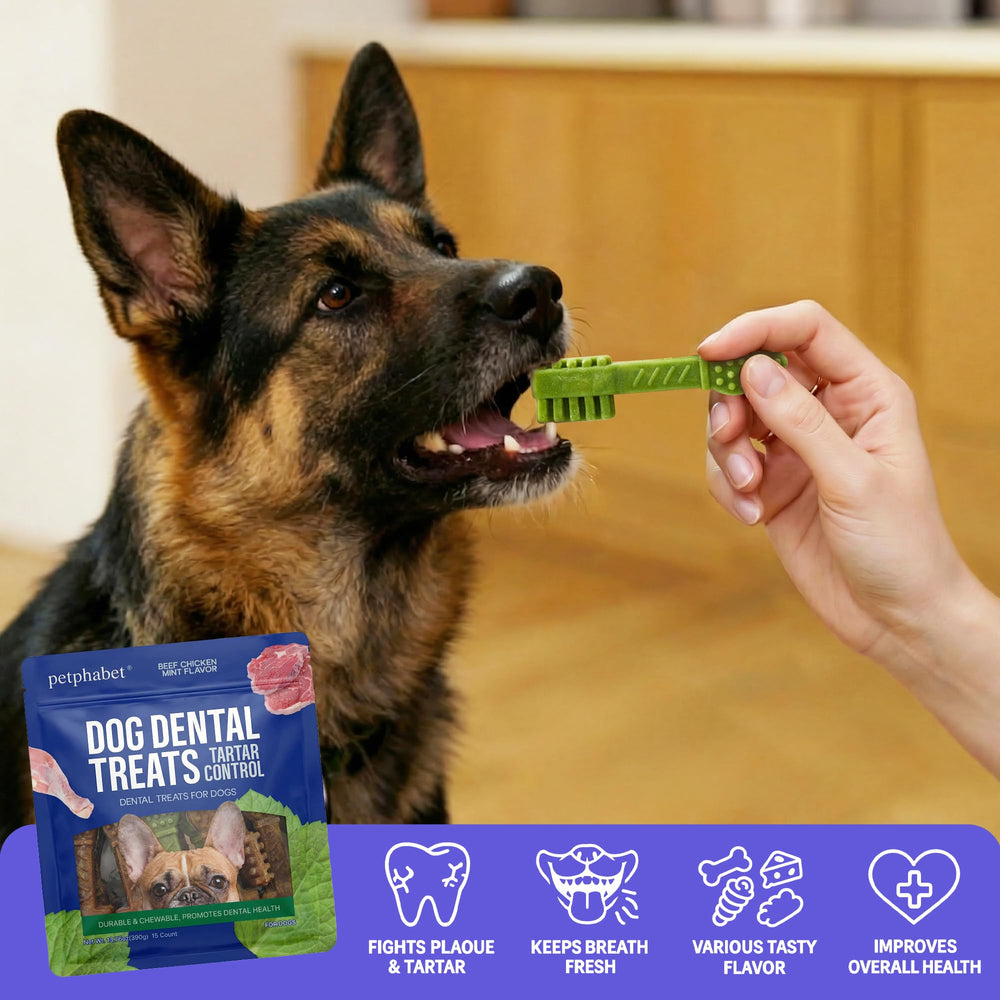 PETPHABET beef-flavor sticks for medium to large dogs during chewing
