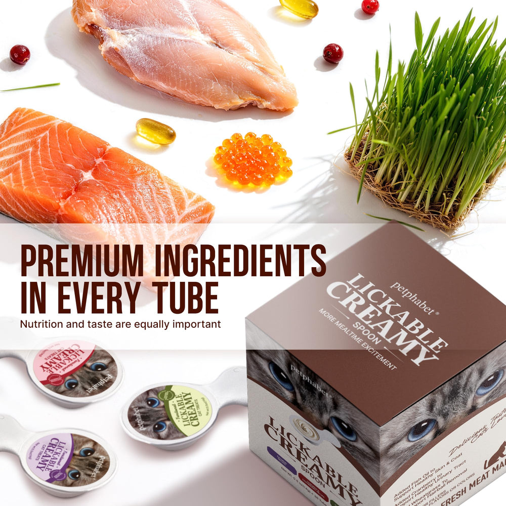 PETPHABET salmon paste on a spoon tempts picky eaters with moisture.