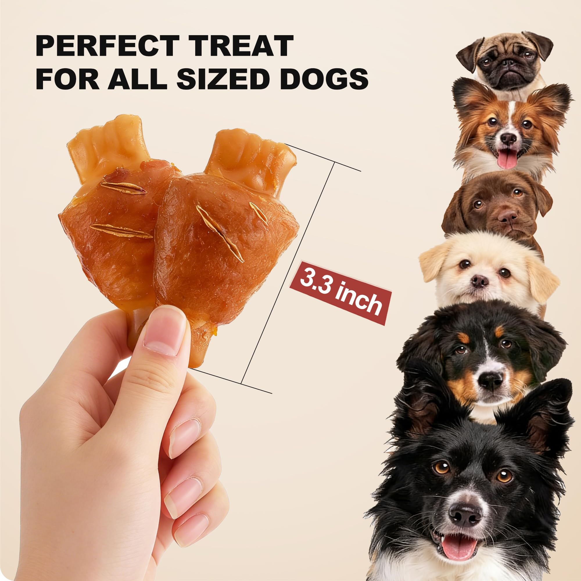 PETPHABET training reward close-up, a tasty option for positive reinforcement during learning.