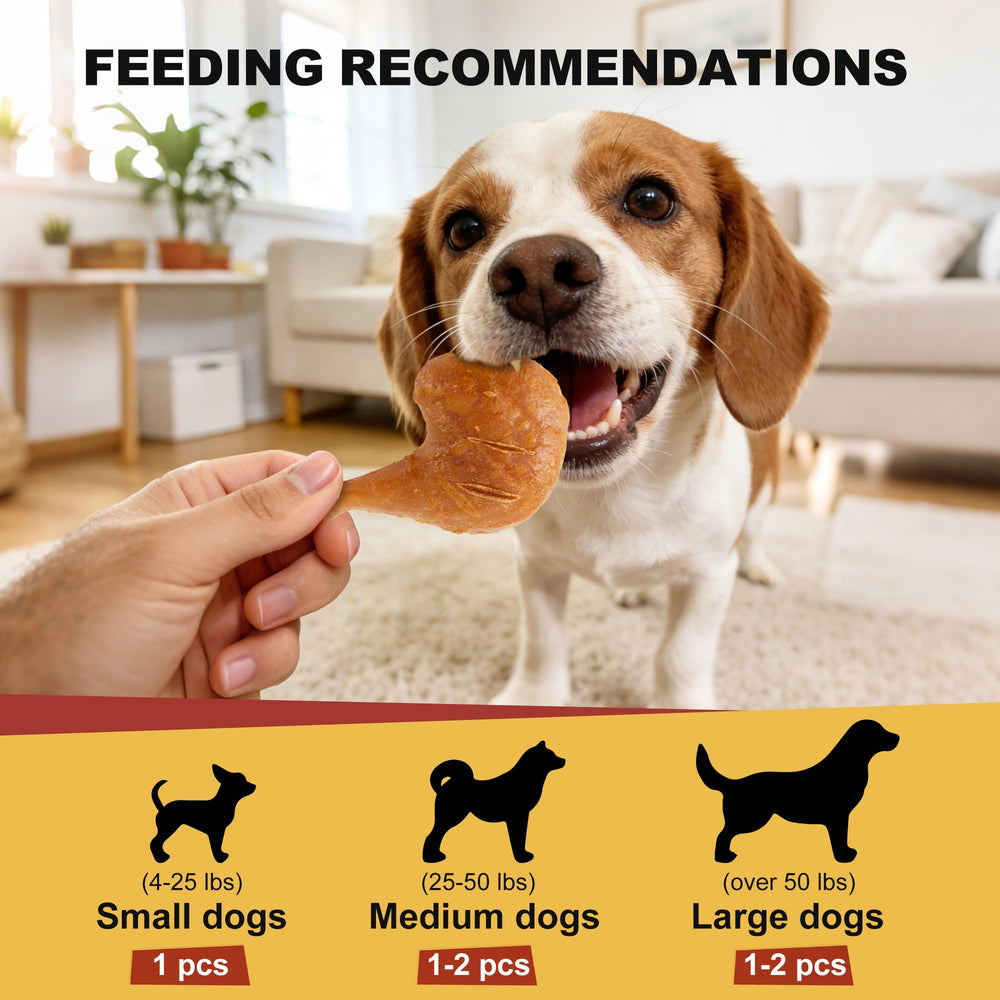 PETPHABET USA lab-tested chews for safety and quality assurance.