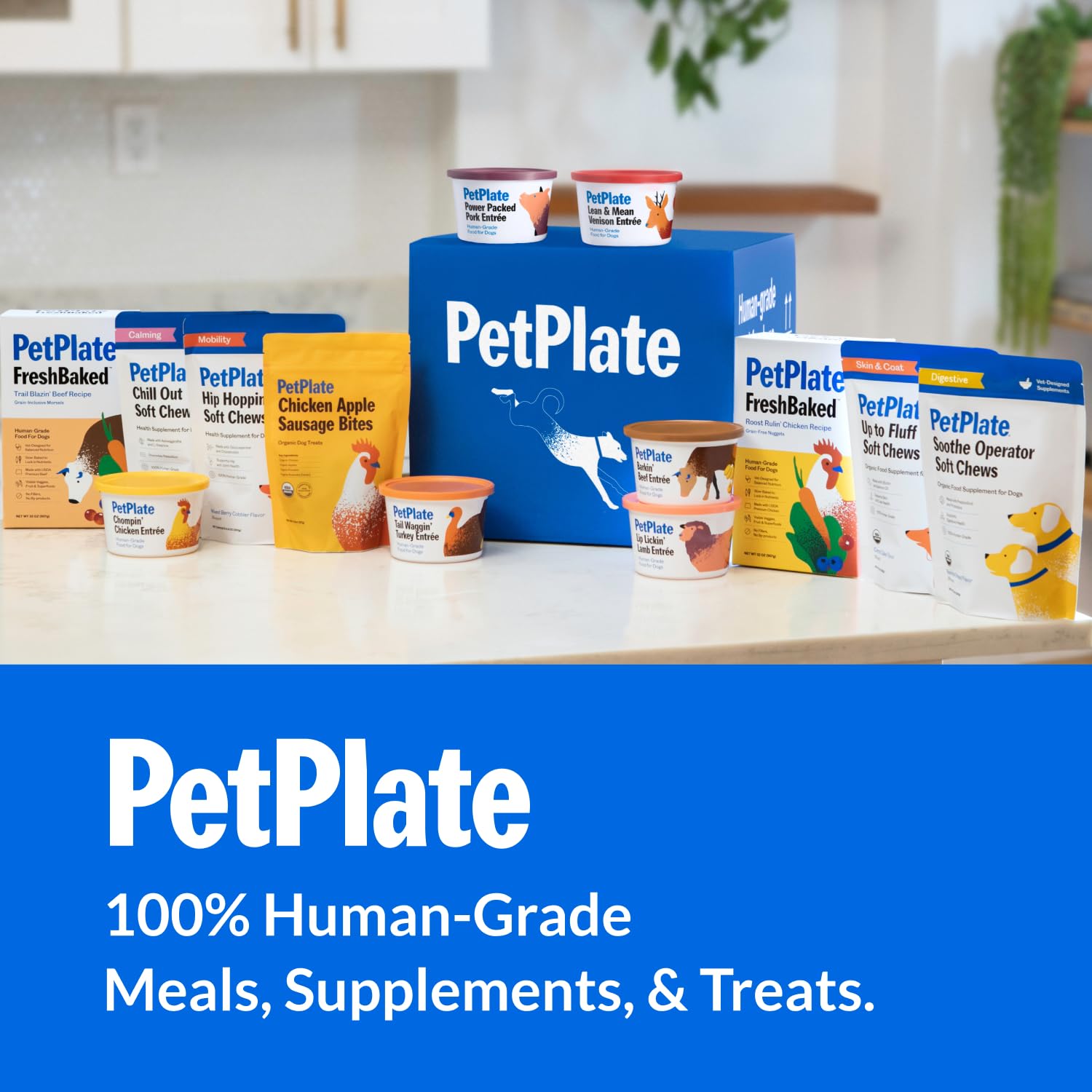 Premium dog treats in a pack for daily snacks across breeds.