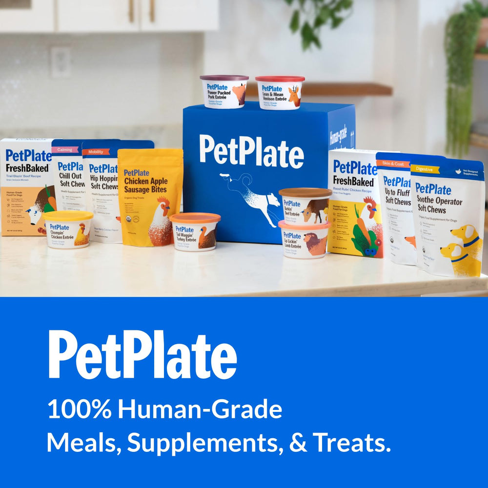 Premium dog treats in a pack for daily snacks across breeds.