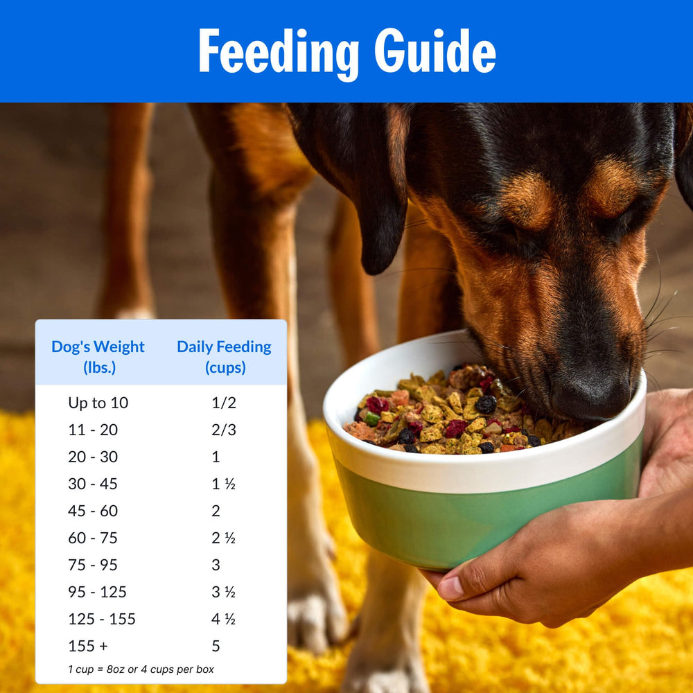 PetPlate Trail Blazin' Beef with prebiotics and postbiotics supporting digestion