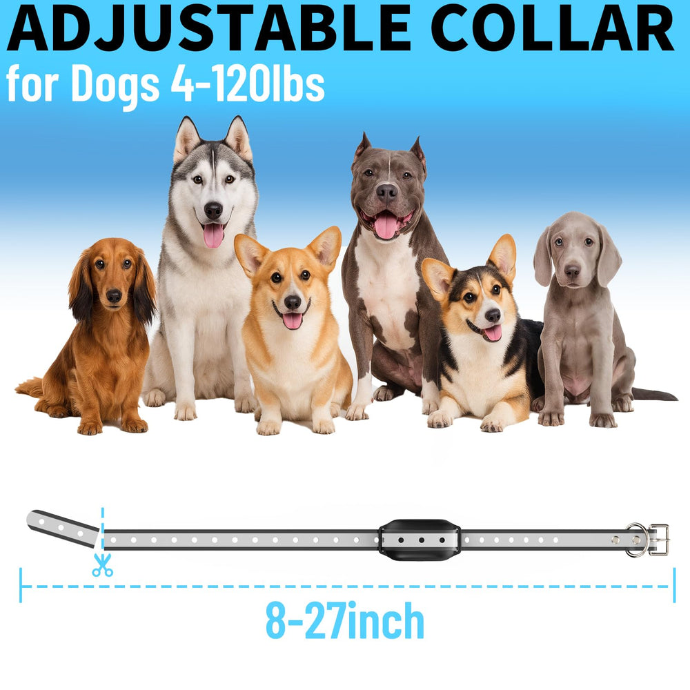 PetPlaytime adjustable collar fits dogs from small to large with comfort