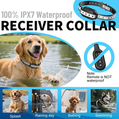 PetPlaytime remote with long-lasting battery supports extended training sessions