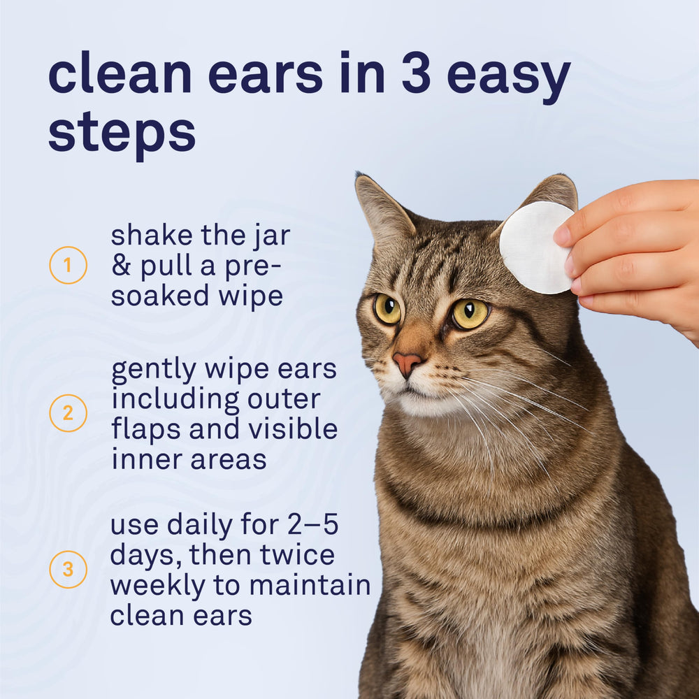 Petpost wipes designed in USA with recyclable packaging.