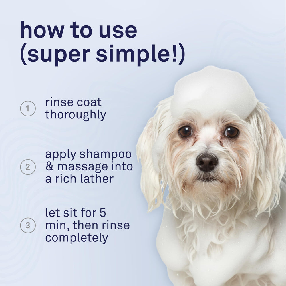 Petpost shampoo promotes moisturized skin and manageable fur after bath