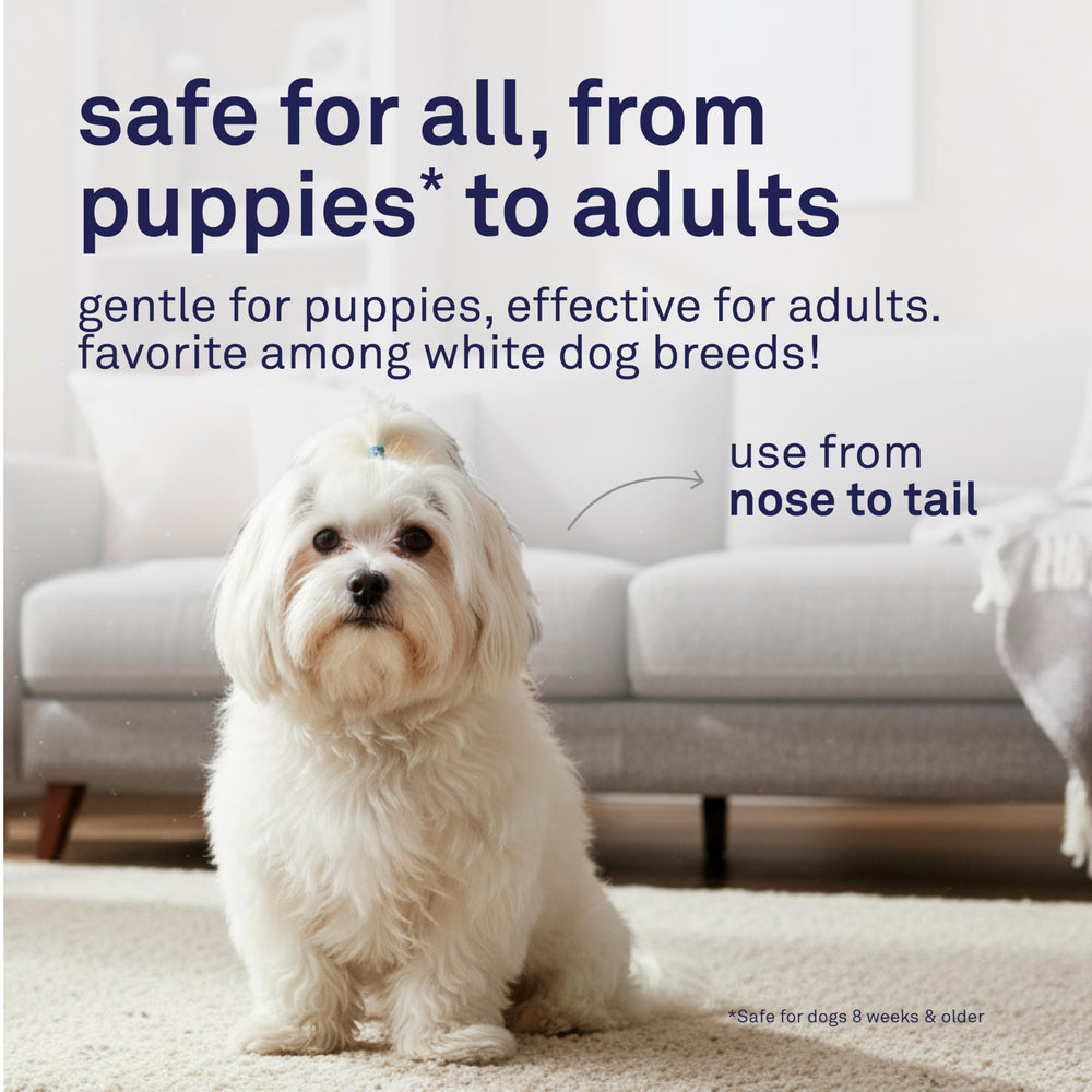 Petpost bottle highlights panthenol conditioning for smoother coats