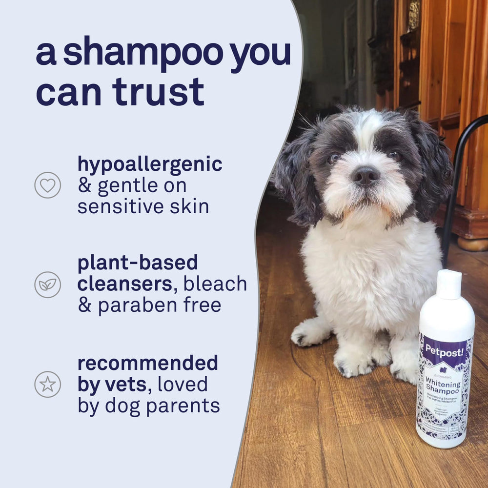 Petpost after-bath scene shows soft, bright fur and healthy shine