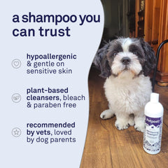 Petpost after-bath scene shows soft, bright fur and healthy shine