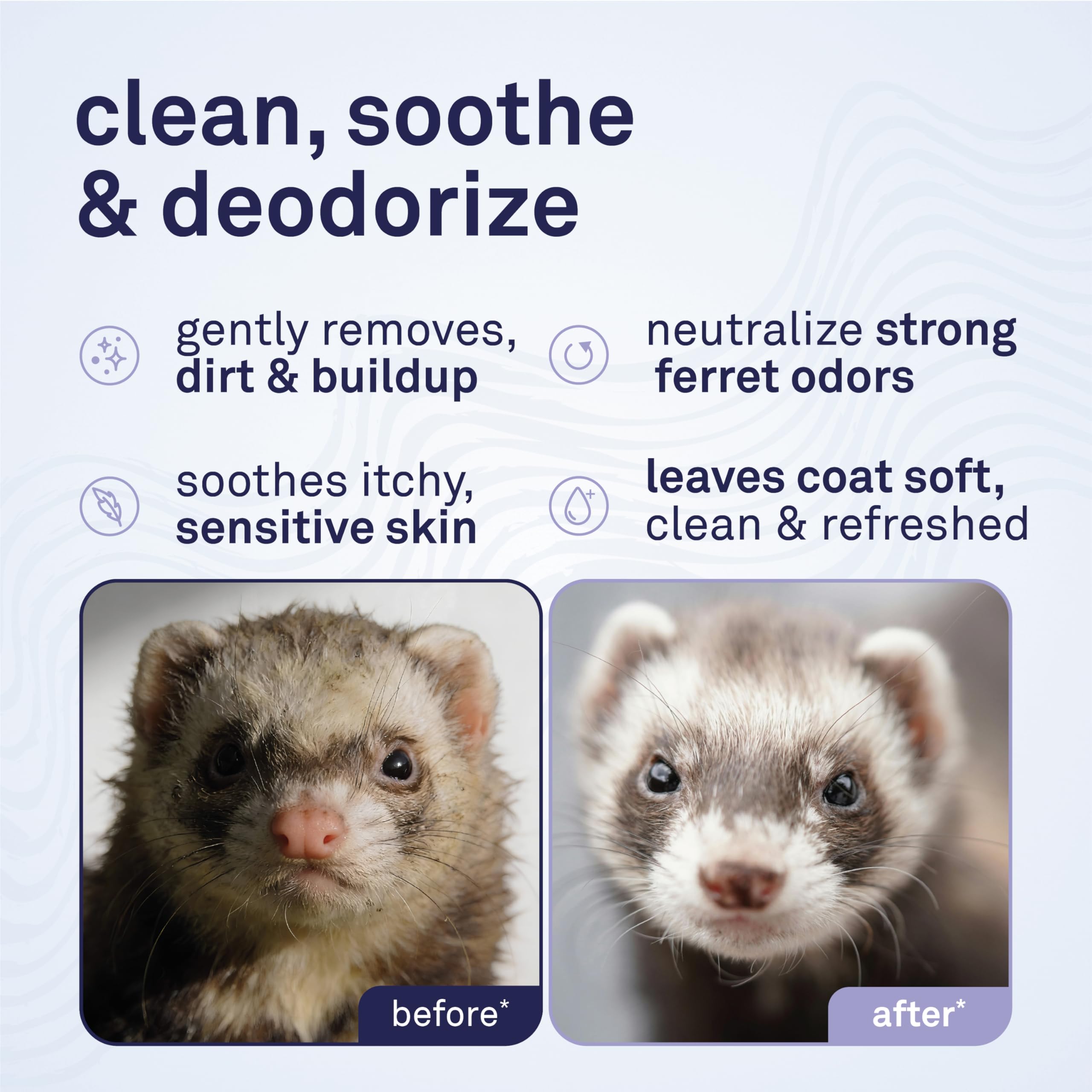 Petpost Ferret Shampoo label highlighting deodorizing and moisturizing effects