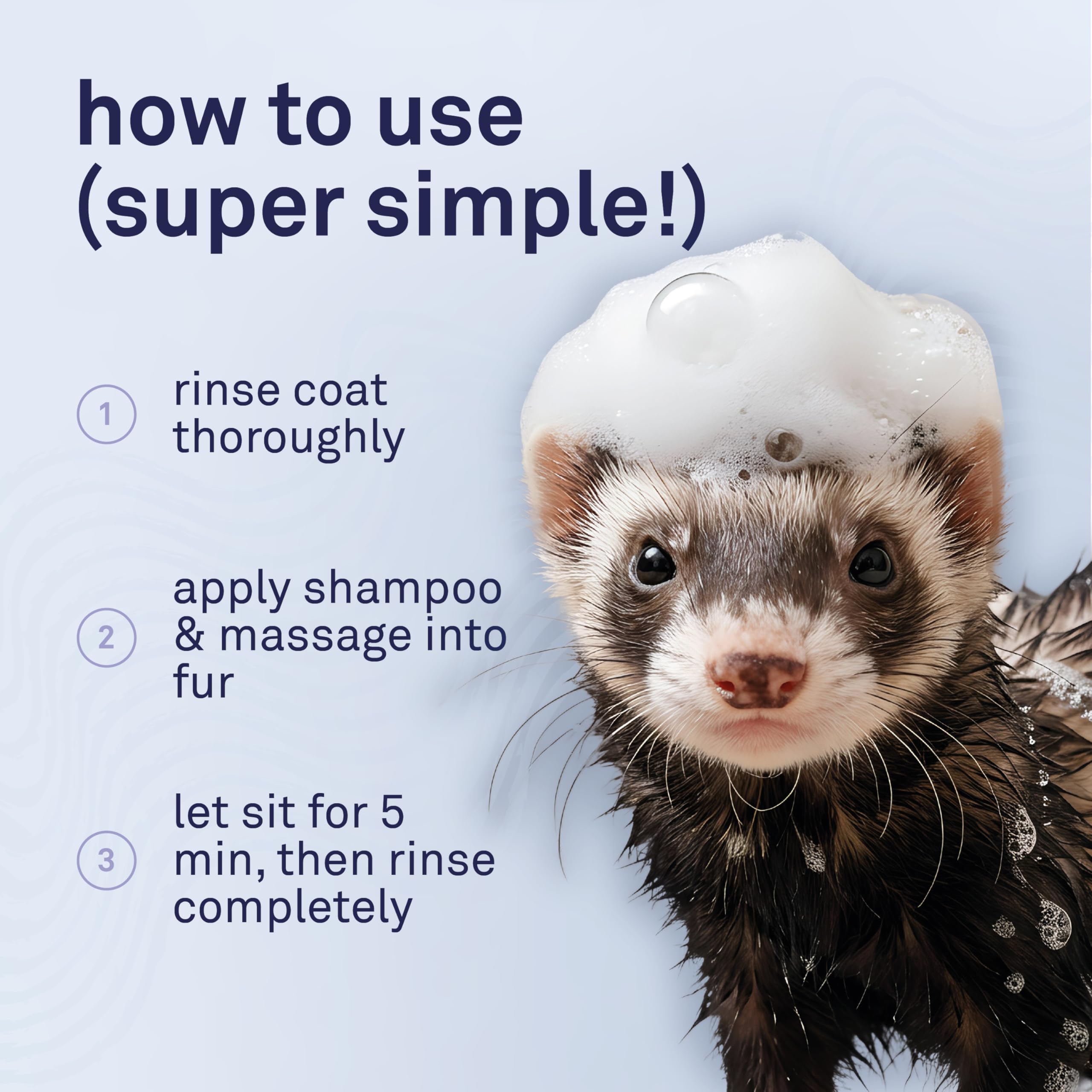Petpost Ferret Shampoo usage steps graphic illustrating simple grooming routine