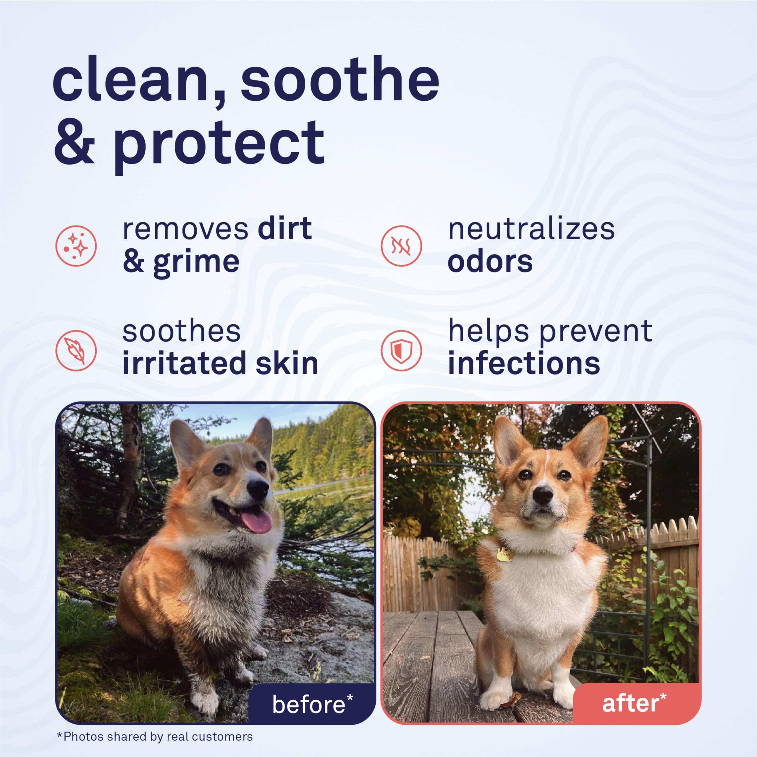 Petpost Large Grooming Wipes in hand for quick refresh on the go