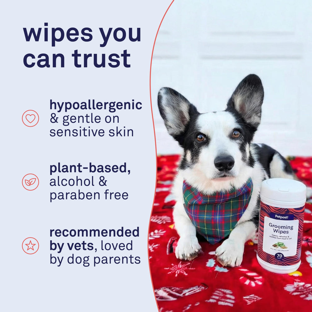 Petpost wipes made in USA with recyclable packaging