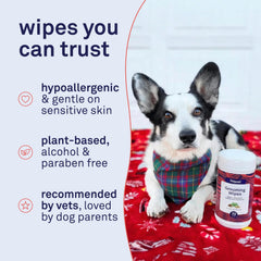 Petpost wipes made in USA with recyclable packaging