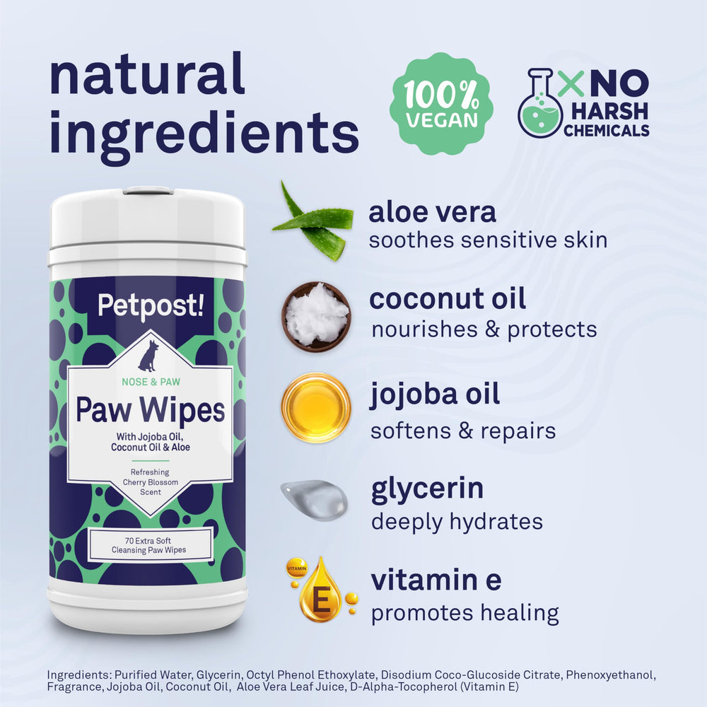 Petpost Large Paw Wipes in use, cleaning a dog paw after a walk