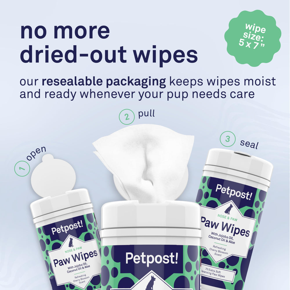 Petpost Paw Wipes shown as part of a grooming routine