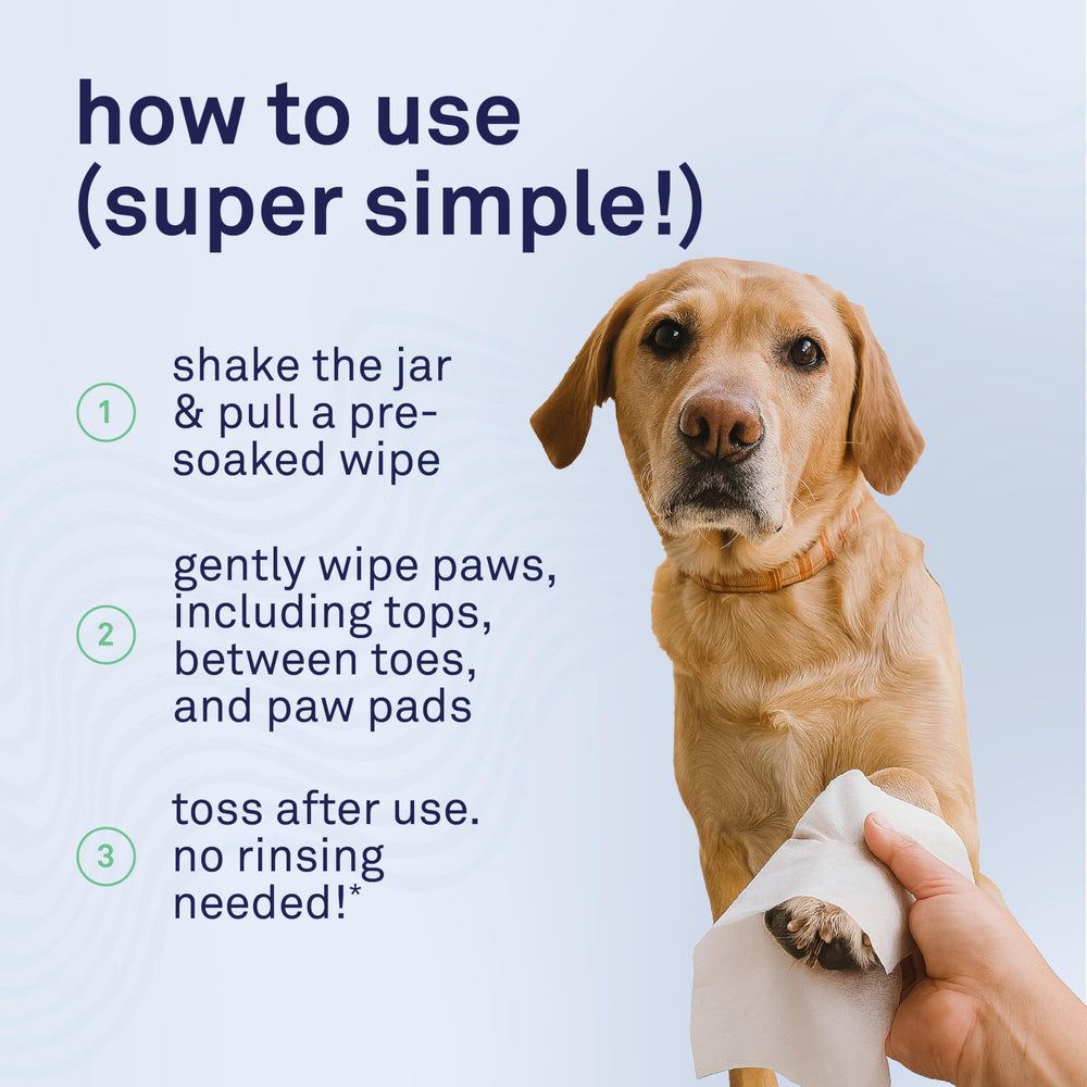 Petpost Large Paw Wipes made in the USA with recyclable packaging