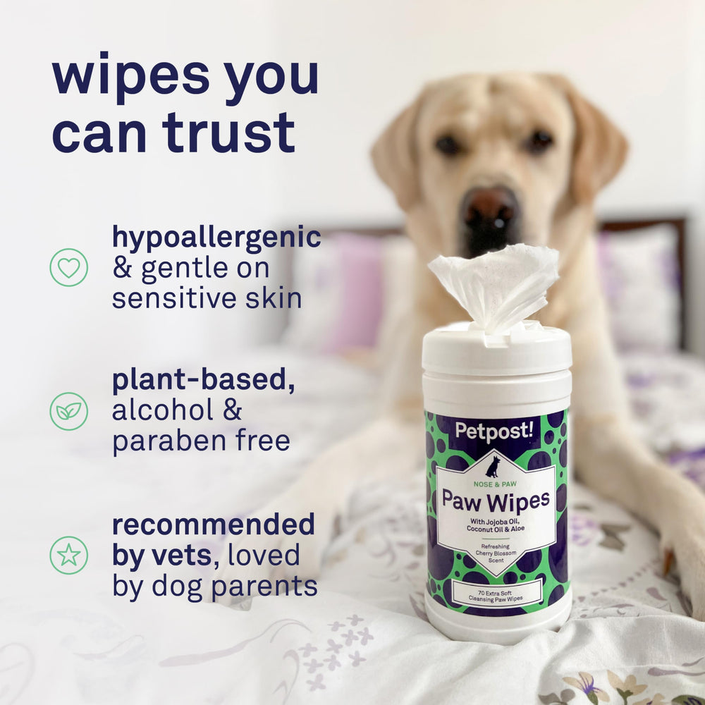Petpost Large Paw Wipes ingredients include coconut oil, jojoba oil, and aloe