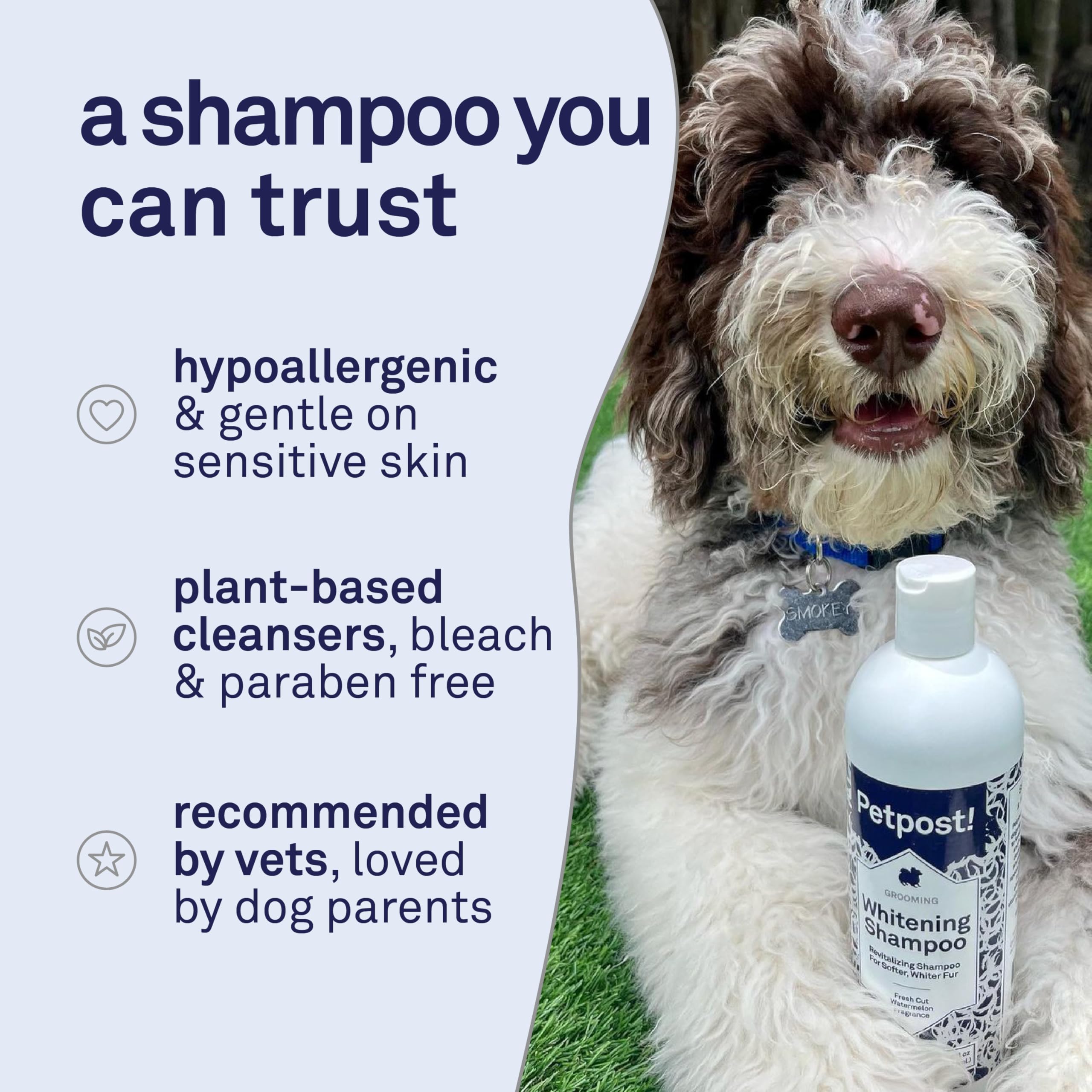 Petpost moisturizing care close-up emphasizes safflower oil and aloe soothing dry skin.