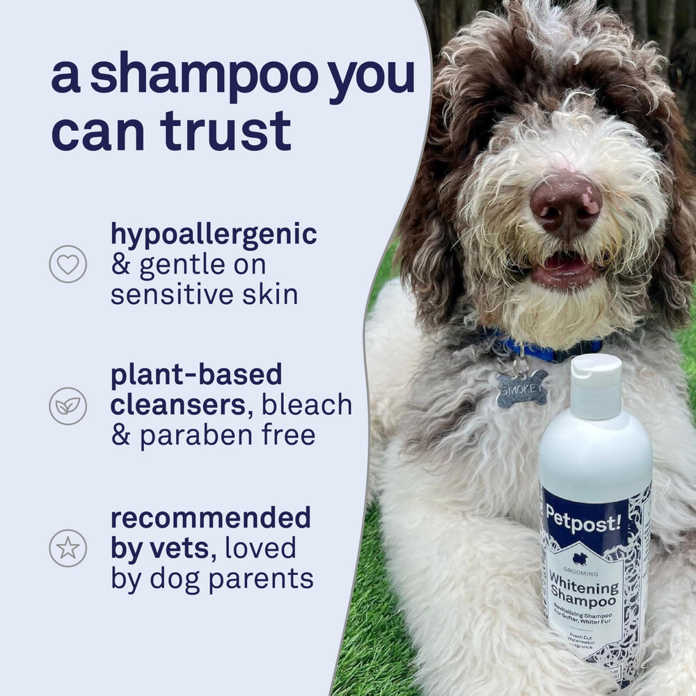 Petpost moisturizing care close-up emphasizes safflower oil and aloe soothing dry skin.